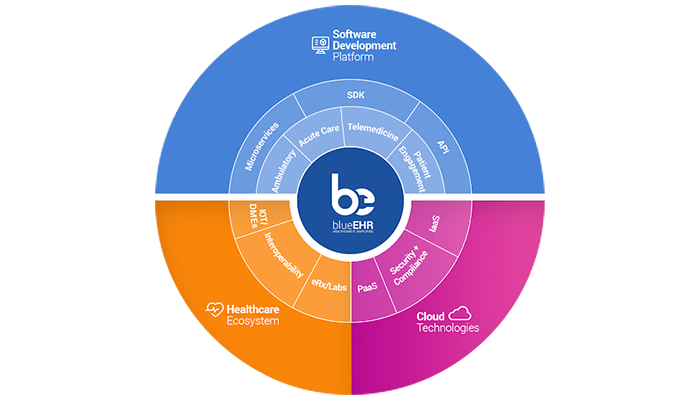 Health IT as a Service (HITaaS)