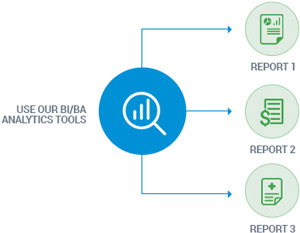 Analyze/Process (Use our BI tool)